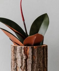 Lone Fox New Reclaimed Bark Planter