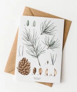 Catherine Lewis Design New White Pine Christmas Card