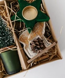 Creative Co Op New Holiday Garden Decorating Kit