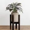 Lone Fox Rustic Concrete + Wood Planter New