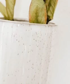 Lone Fox Max Ceramic Wall Planter New 9 Lone Fox Max Ceramic Wall Planter New