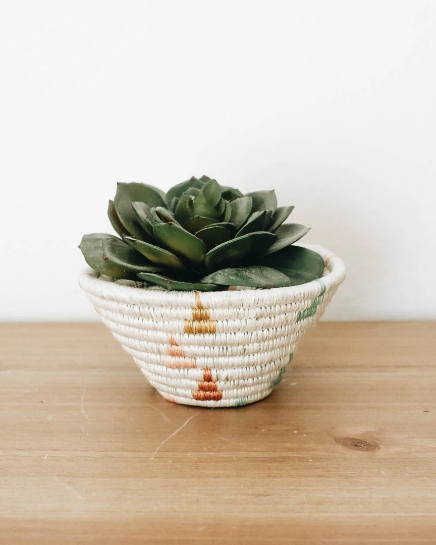 Lone Fox New Leona Mini Catch All 5 Lone Fox New Leona Mini Catch All