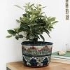 Lone Fox Blue Sabella Woven Planter 2 Lone Fox Blue Sabella Woven Planter