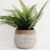 Lone Fox Landon Terracotta Planter New