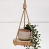 Lone Fox Hanging Wood Slice Plant Holder New