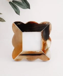 Lone Fox Tortoise Scalloped Edge Frame