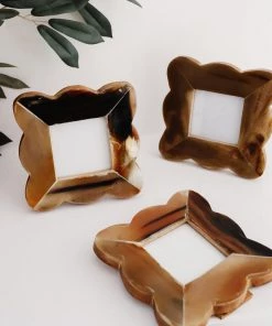 Lone Fox Tortoise Scalloped Edge Frame