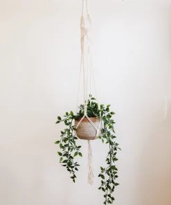 Lone Fox Your Favorite Macrame Plant Hangers New