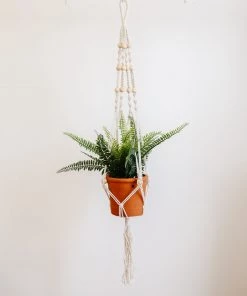 Lone Fox Your Favorite Macrame Plant Hangers New