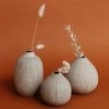 Lone Fox Allaire Textured Stoneware Vases (Set Of 3)