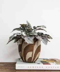 Lone Fox New Cayden Terracotta Planter