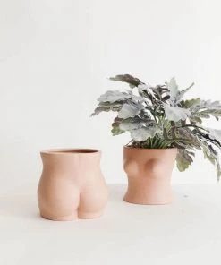 China Just Peachy Ceramic Planters New