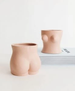 China Just Peachy Ceramic Planters New