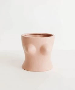 China Just Peachy Ceramic Planters New