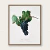 Lone Fox Best Sellers "Grape Vine" Art Print