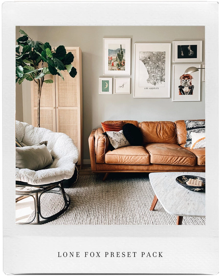 Lone Fox Photo Pack 3 Lone Fox Photo Pack