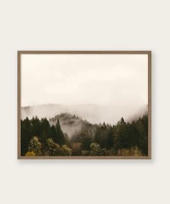Lone Fox New "Mist Over Dark Green Woods" Art Print