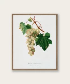Lone Fox "Muscat Grape" Art Print Best Sellers