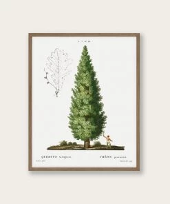 Lone Fox "Boy And Tree" Art Print