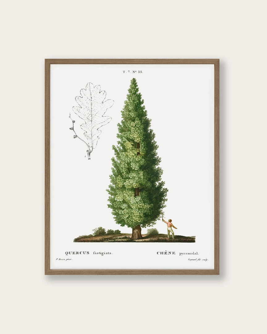 Lone Fox "Boy And Tree" Art Print 3 Lone Fox "Boy And Tree" Art Print