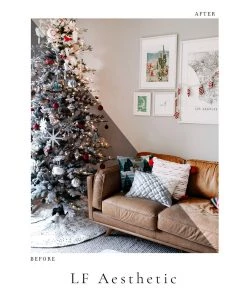 Lone Fox Photo Pack 12 Lone Fox Photo Pack