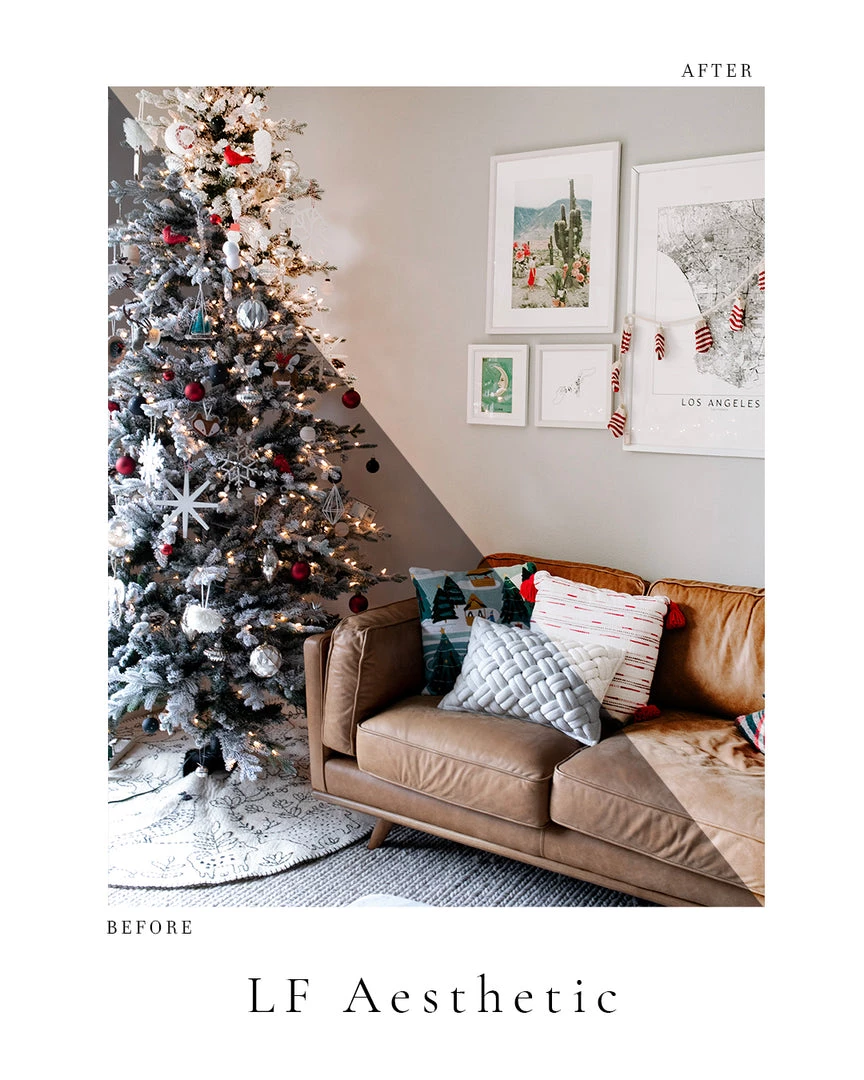 Lone Fox Photo Pack 5 Lone Fox Photo Pack