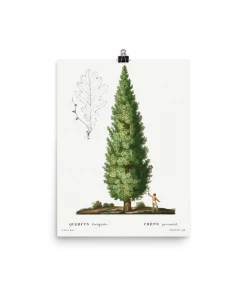 Lone Fox "Boy And Tree" Art Print