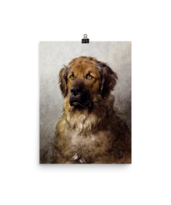 Lone Fox Best Sellers "Head Of A Leonberger" Art Print