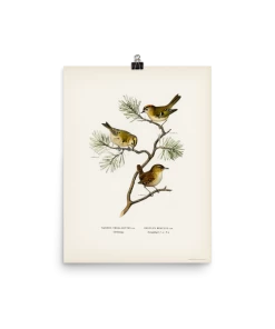 Lone Fox Best Sellers