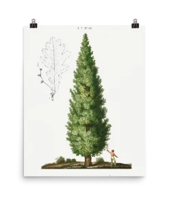 Lone Fox "Boy And Tree" Art Print 10 Lone Fox