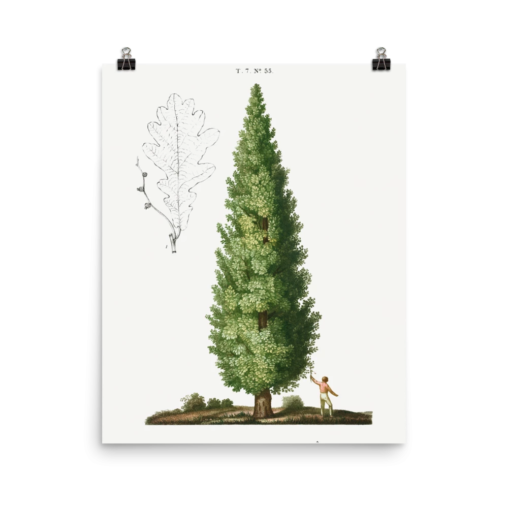 Lone Fox "Boy And Tree" Art Print 5 Lone Fox "Boy And Tree" Art Print