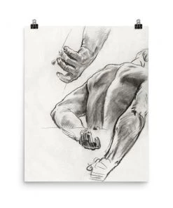 Lone Fox Best Sellers Studies For