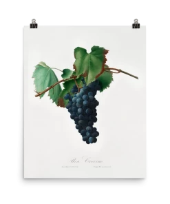 Lone Fox Best Sellers