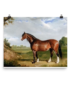 Lone Fox "A Clydesdale Stallion" Art Paint