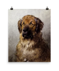 Lone Fox Best Sellers