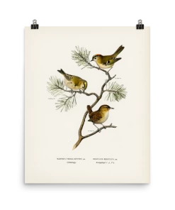 Lone Fox Best Sellers