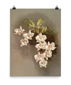 Lone Fox New "Reichenbachia Orchids" Art Print 11 Lone Fox New