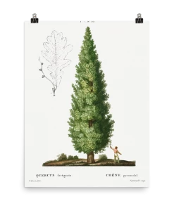 Lone Fox "Boy And Tree" Art Print 11 Lone Fox