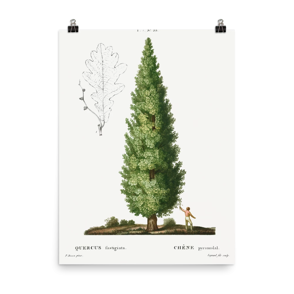 Lone Fox "Boy And Tree" Art Print 6 Lone Fox "Boy And Tree" Art Print