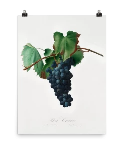 Lone Fox Best Sellers