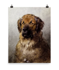 Lone Fox Best Sellers