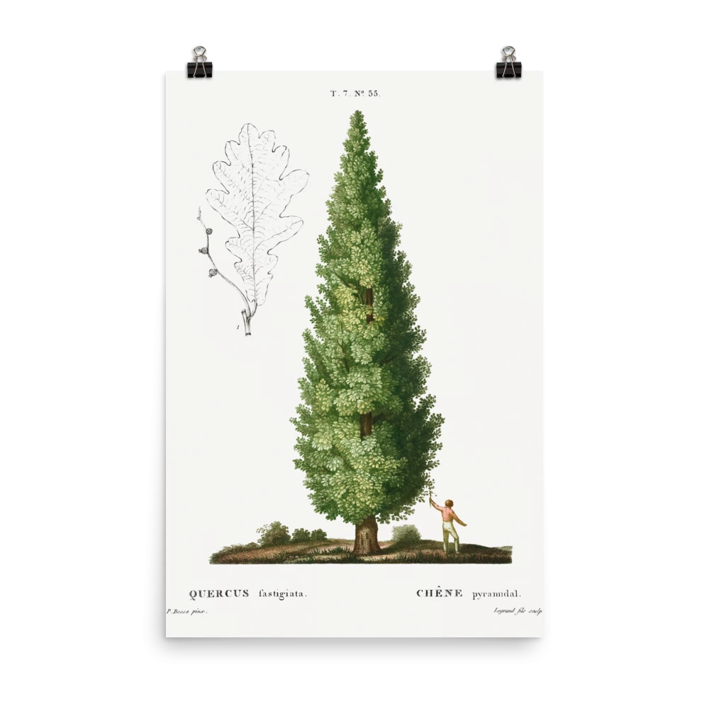 Lone Fox "Boy And Tree" Art Print 7 Lone Fox "Boy And Tree" Art Print