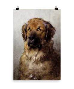 Lone Fox Best Sellers