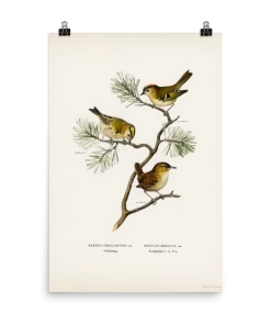 Lone Fox Best Sellers