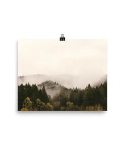 Lone Fox New "Mist Over Dark Green Woods" Art Print