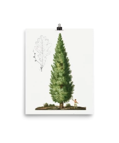 Lone Fox "Boy And Tree" Art Print 13 Lone Fox
