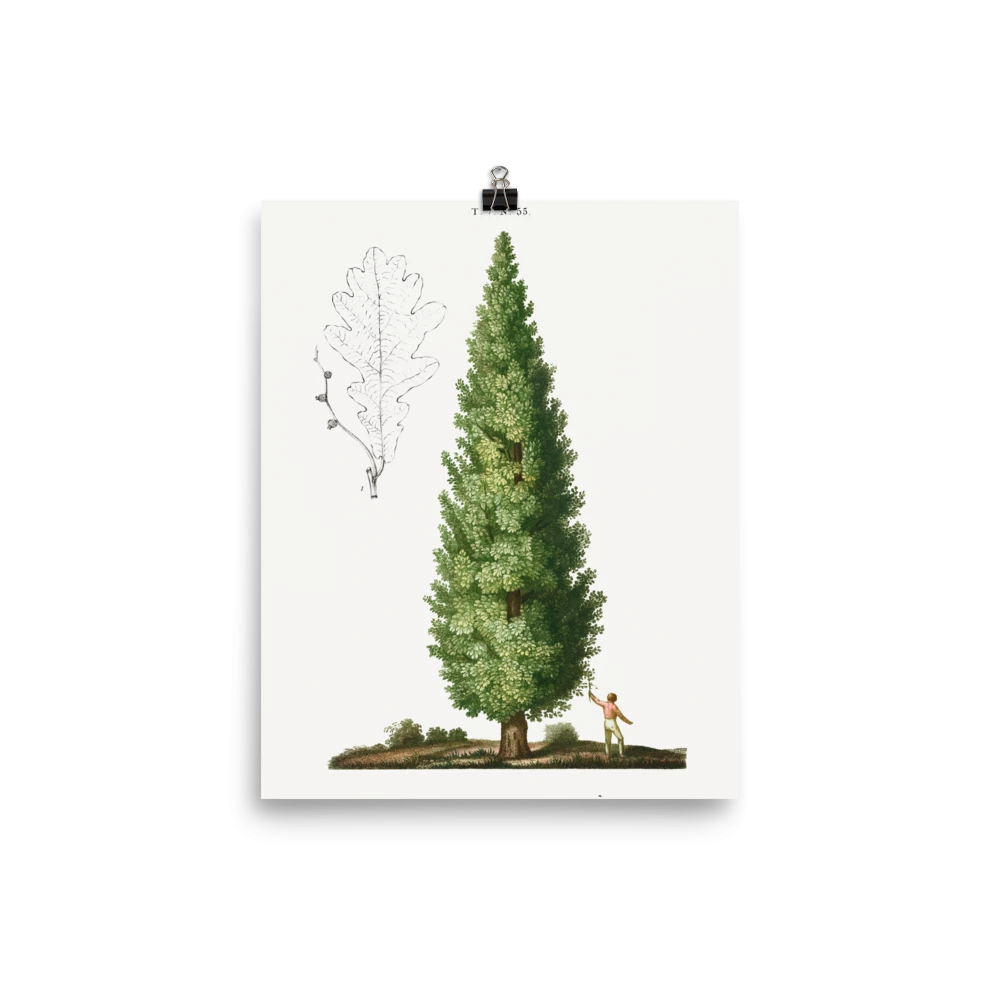 Lone Fox "Boy And Tree" Art Print 8 Lone Fox "Boy And Tree" Art Print