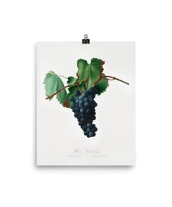 Lone Fox Best Sellers