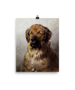 Lone Fox Best Sellers