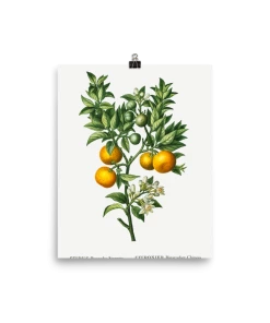 Lone Fox Best Sellers